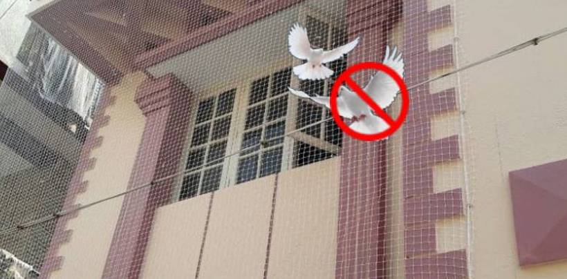 Pigeon Safety Nets Installation Cost in Hyderabad | Call 8247237019 Fixing Nets
